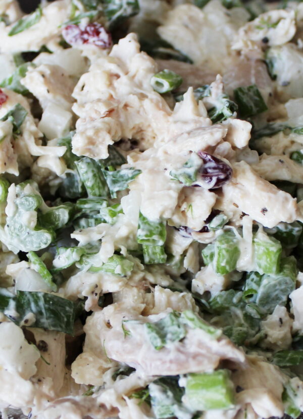 A close up of chicken salad. Big chunks of shredded chicken are mixed with dried cranberries, celery, herbs and a mayo-yogurt sauce.