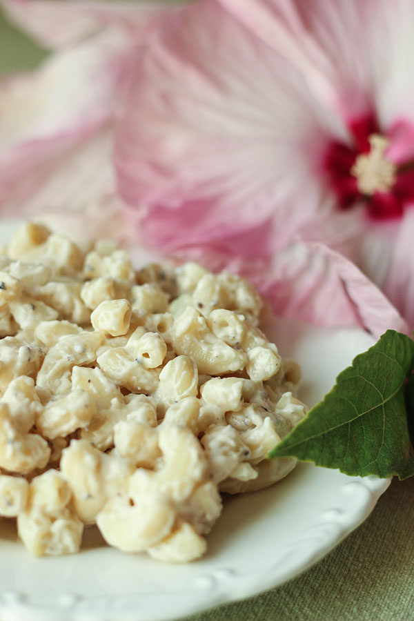 Cool and creamy this Hawaiian Macaroni Salad is heaped on a white plate in front of a large pink hibiscus flower.
