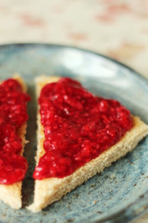 A slice of toast is cut into two triangles and slathered with no cook raspberry jam. The toast is on a blue stoneware plate.