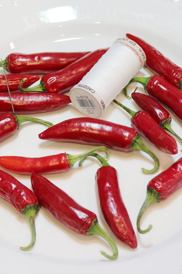 A selection of red hot peppers sit on a plate with a roll of white thread waiting to be strung.
