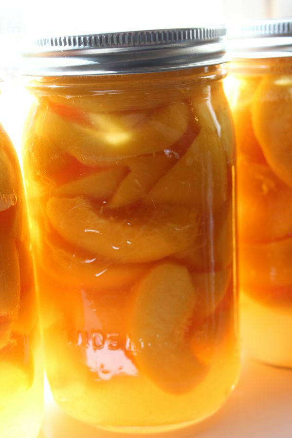 A jar of sliced peaches canned in a water bath canner is backlit infront of a window. The peaches are golden in the mason jar.