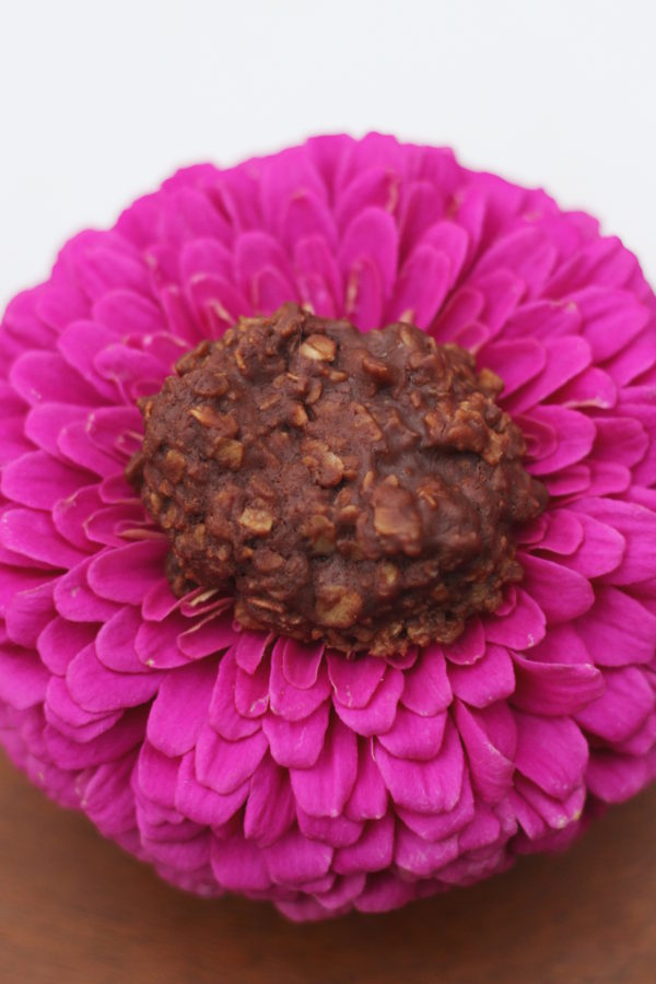 A peanut butter free chocolate no bake cookie centered on a purple zinnia flower.
