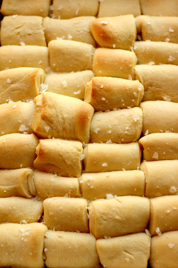 A big pan of buttery Parker House Rolls waits to be eaten on Thanksgiving. You can see a sprinkle of salt crystals on top.