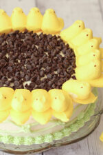 A peeps sunflower cake sits on a glass cake stand. The peeps are arranged around the edge of a white cake with chocolate chips in the center to look like a sunflower.