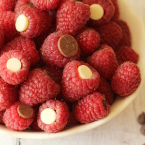 A white bowl is full of fresh raspberries. Each berry has a white chocolate chip, or a semi-sweet chocolate chip or a milk chocolate chip tucked inside of it.