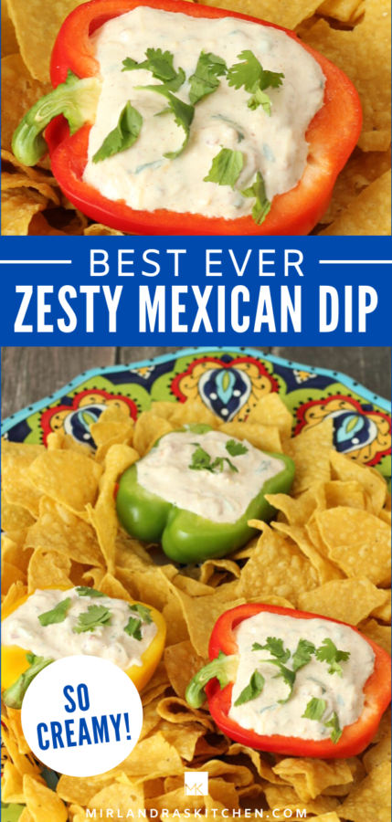 zesty mexican dip promo image