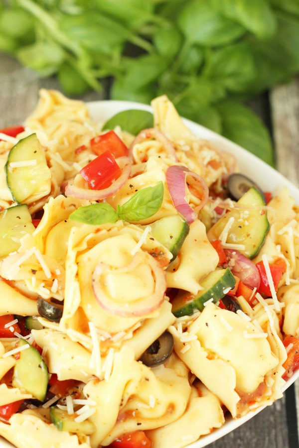 A big bowl of tortellini pasta salad sits ready to eat next to some fresh herbs. You can see big cheese filled tortellini, diced bell peppers, pieces of cucumber, and sliced olives. The salad is garnished with Parmesan cheese. 