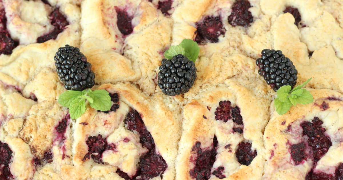 Blackberry Cobbler AKA Roly Poly Cobbler - Mirlandra's Kitchen