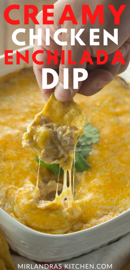 creamy chicken enchilada dip promo image