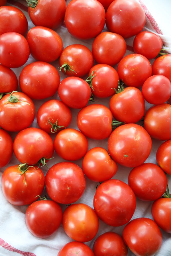 A tray of ripe tomatoes waits to be frozen. You can just see a white tea towel peeping out from under the tomatoes.