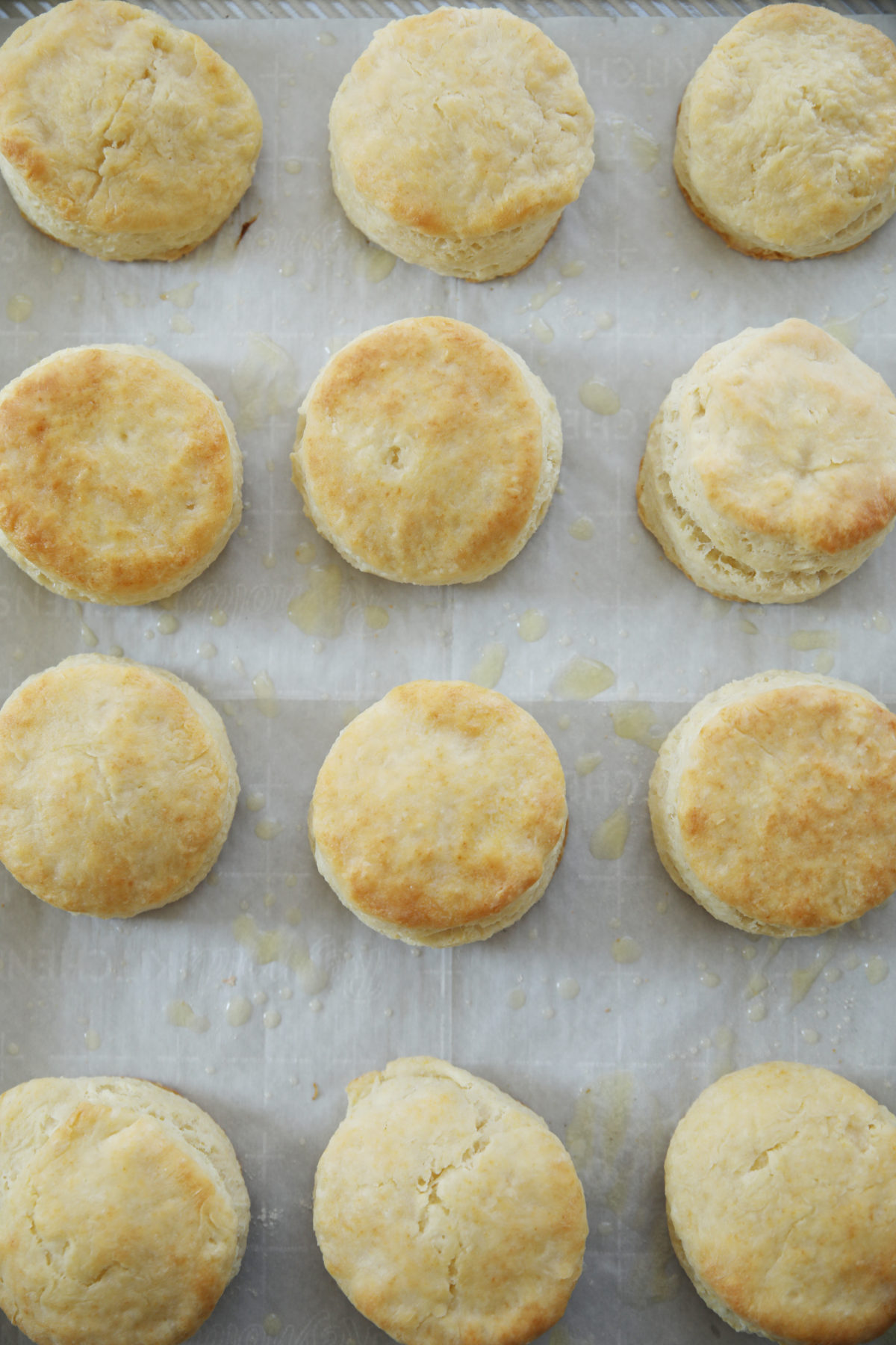 A beautiful tray of homemade biscuits. The tray is lined with parchment paper and the biscuits look very golden and flakey. 