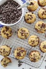 cute little mini chocolate chip protein muffins cool on a wire rack next do a blue dish of mini chocolate chips