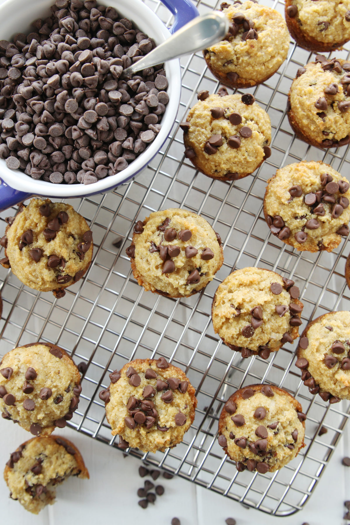 cute little mini chocolate chip protein muffins cool on a wire rack next do a blue dish of mini chocolate chips