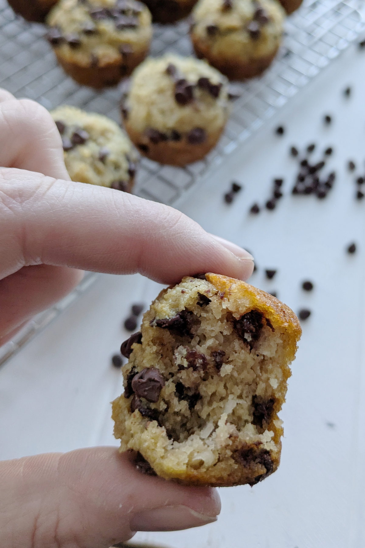 A mini protein muffin with a bite out of it to show the chocolate chips and the texture.