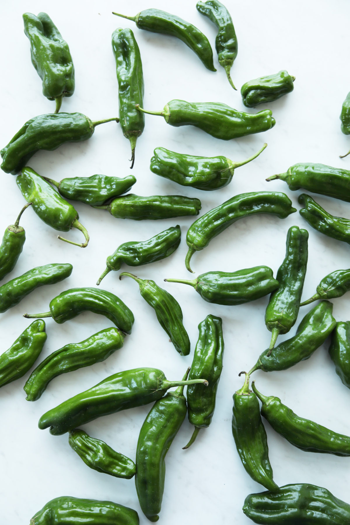 Fresh shishito peppers ready to blister. The beautiful green peppers are scattered on a marble table top. 