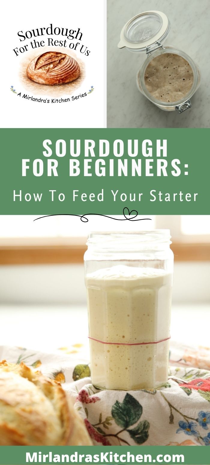 promo image how to feed your starter for Pinterest