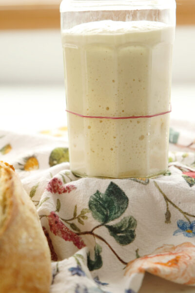 This is an image of fed sourdough starter in a jam jar on a tea towel and loaf of sourdough bread. It illustrates how to feed a sourdough starter.