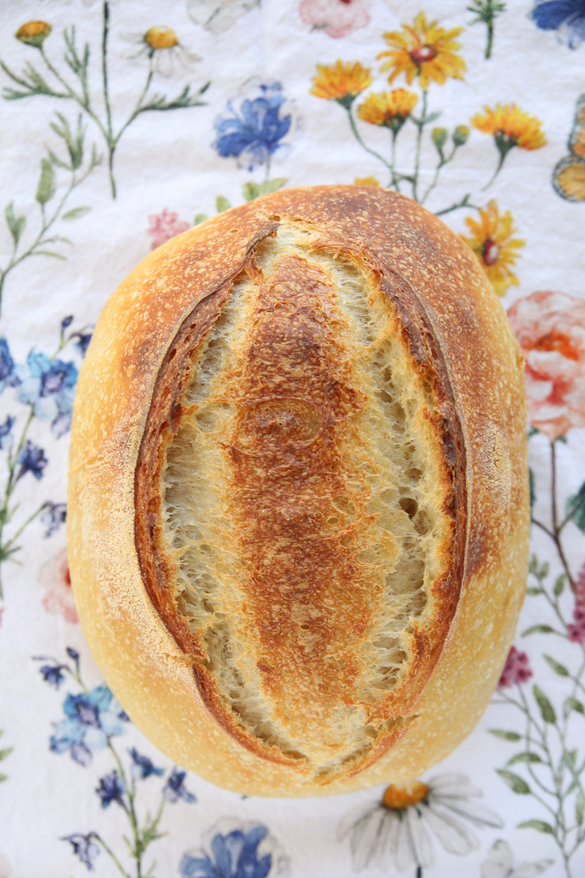 Baked sourdough batard with a deep center score that has bloomed into a rustic double-ear crust.