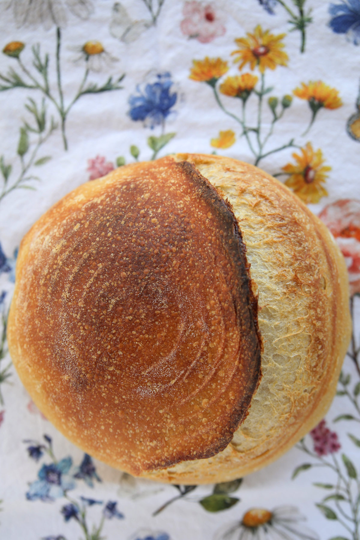 A baked round sourdough boule with a large, crescent-shaped score that has opened up to reveal a golden, textured interior. The crust is a deep mahogany brown with a light dusting of flour.