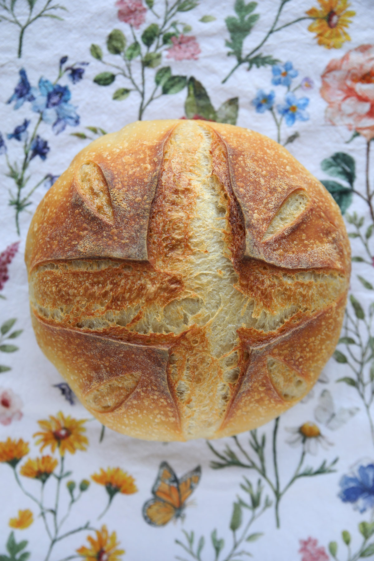 A top-down view of a baked round sourdough boule. The central cross and diagonal slashes have opened up into a symmetrical, star-like pattern with crispy, golden-brown edges and a dusted flour finish.