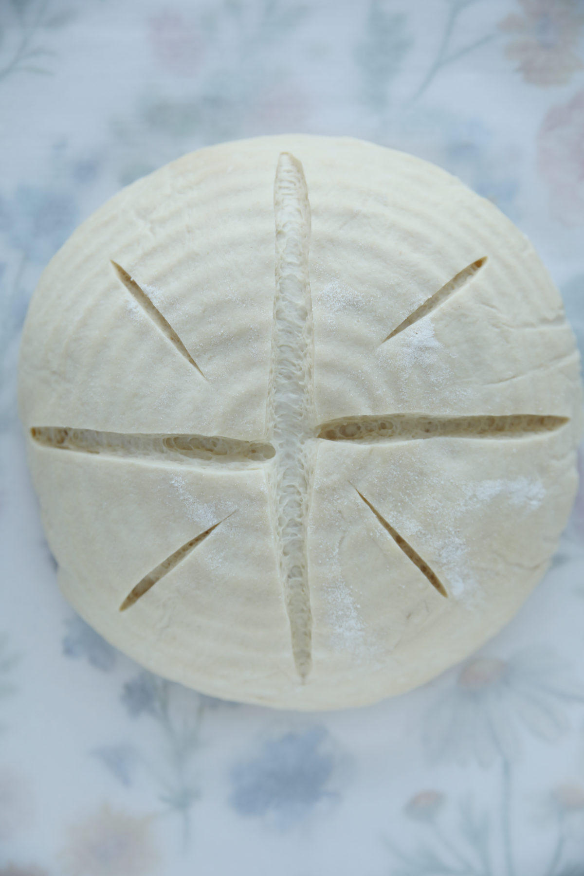 top-down view of a raw, round sourdough boule featuring a cross-shaped score in the center with four smaller diagonal slashes between the arms of the cross, creating a starburst or compass design.