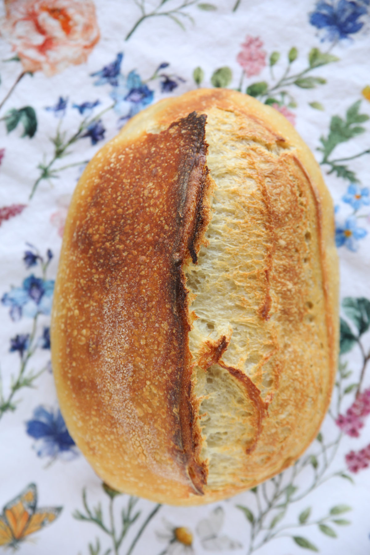 sourdough loaf with a jagged, rough score line caused by using a dull lame blade, showing how the dough tears instead of slices.