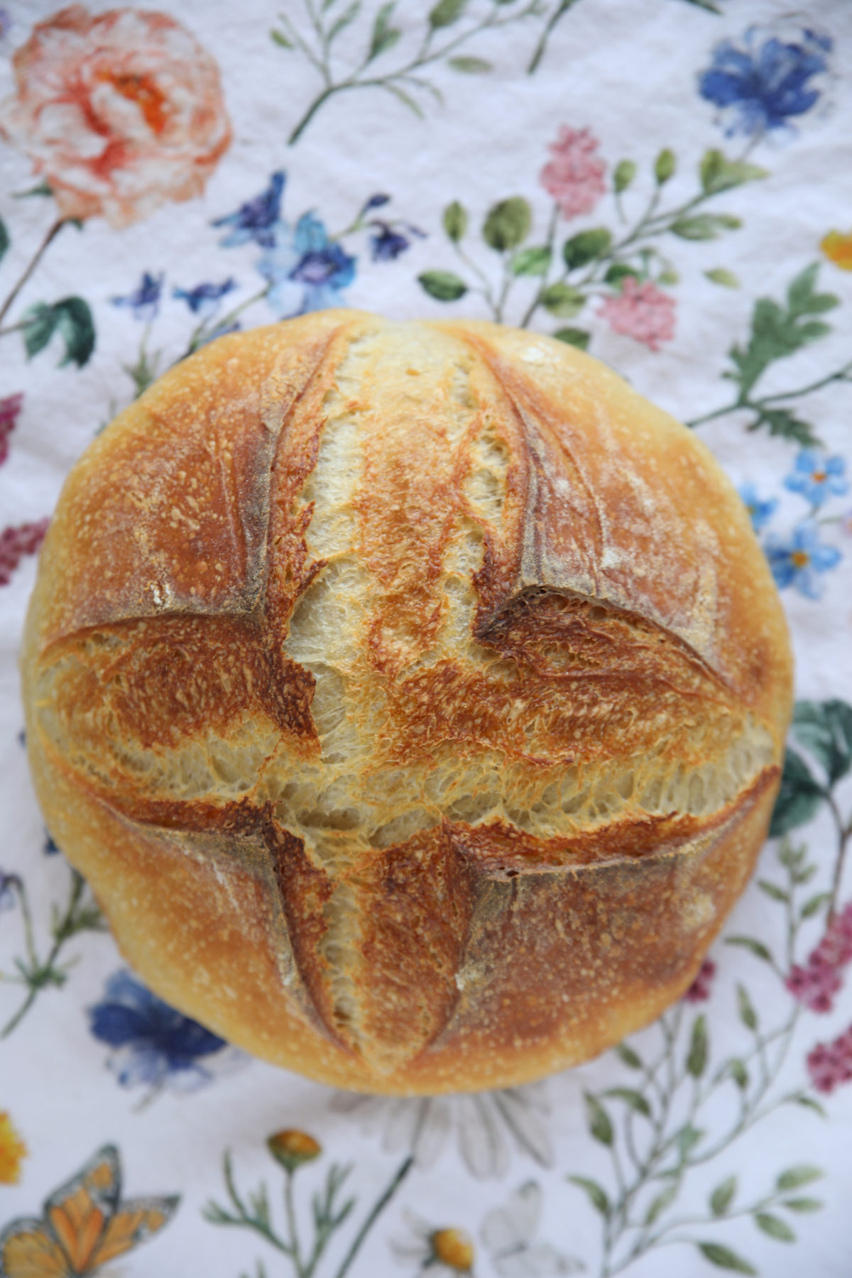 A golden-brown baked sourdough boule showing how the simple cross score expanded into a beautiful, rustic four-quadrant bloom.
