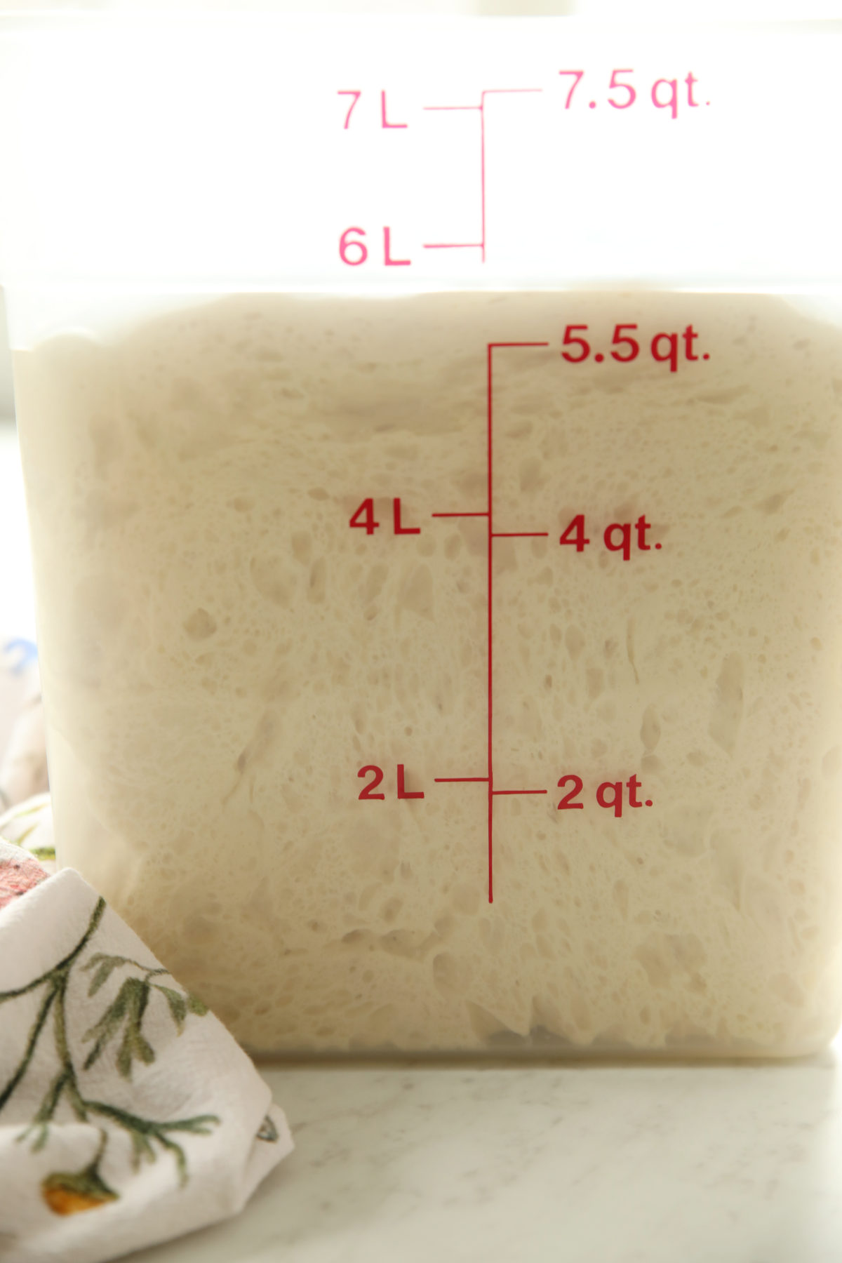 A cambro container with perfectly bulk fermented dough in it for easy sourdough bread recipe for beginners.