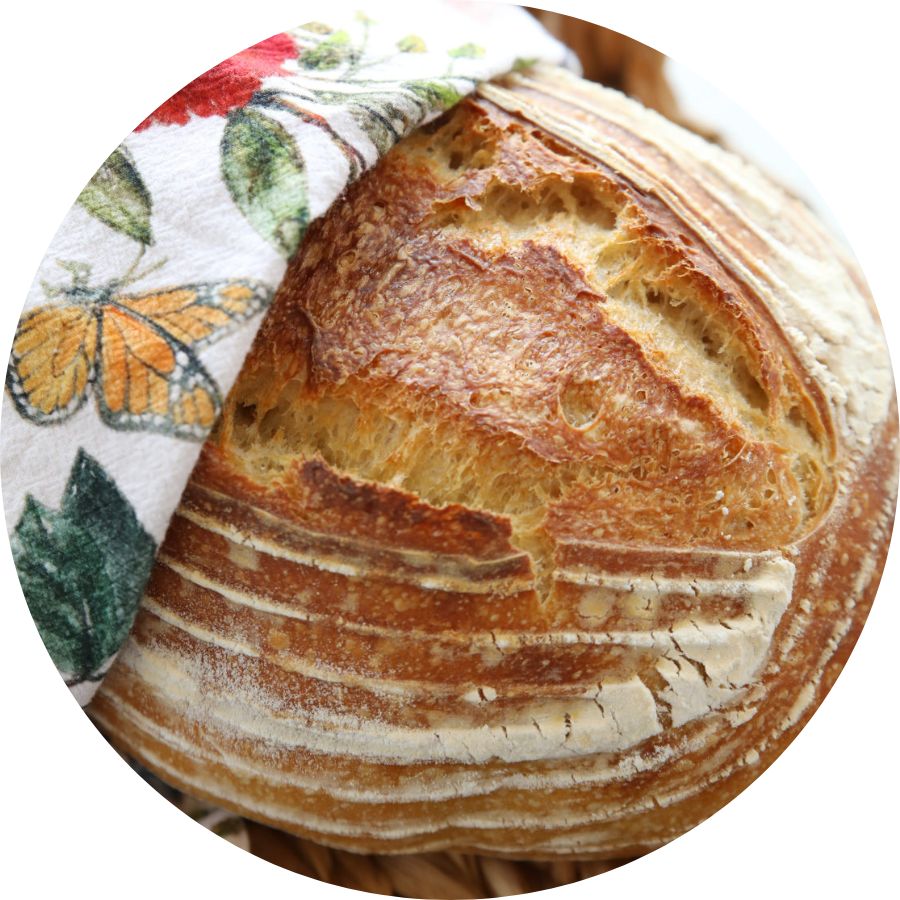 Sourdough For The Rest of Us