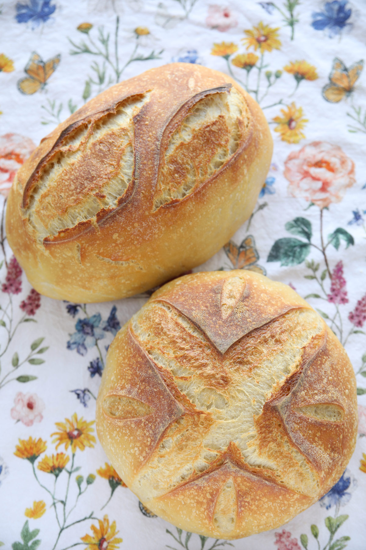 Two loaves of simple sourdough bread on a floral tea towel.  One is a batard and one is a boule. 