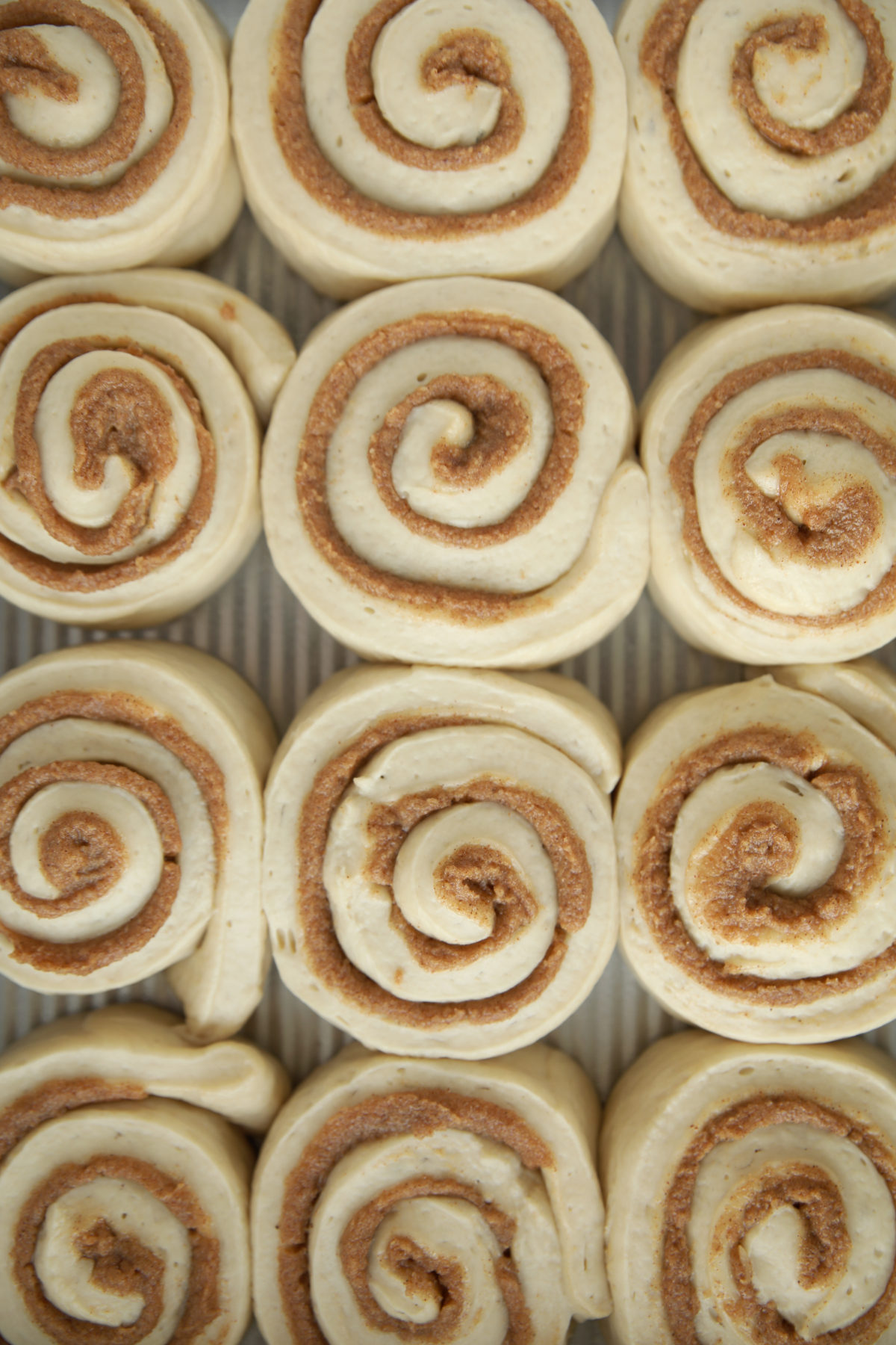Twelve unbaked sourdough cinnamon rolls arranged in rows on a cooling rack, showing perfectly even cinnamon sugar swirls before baking.