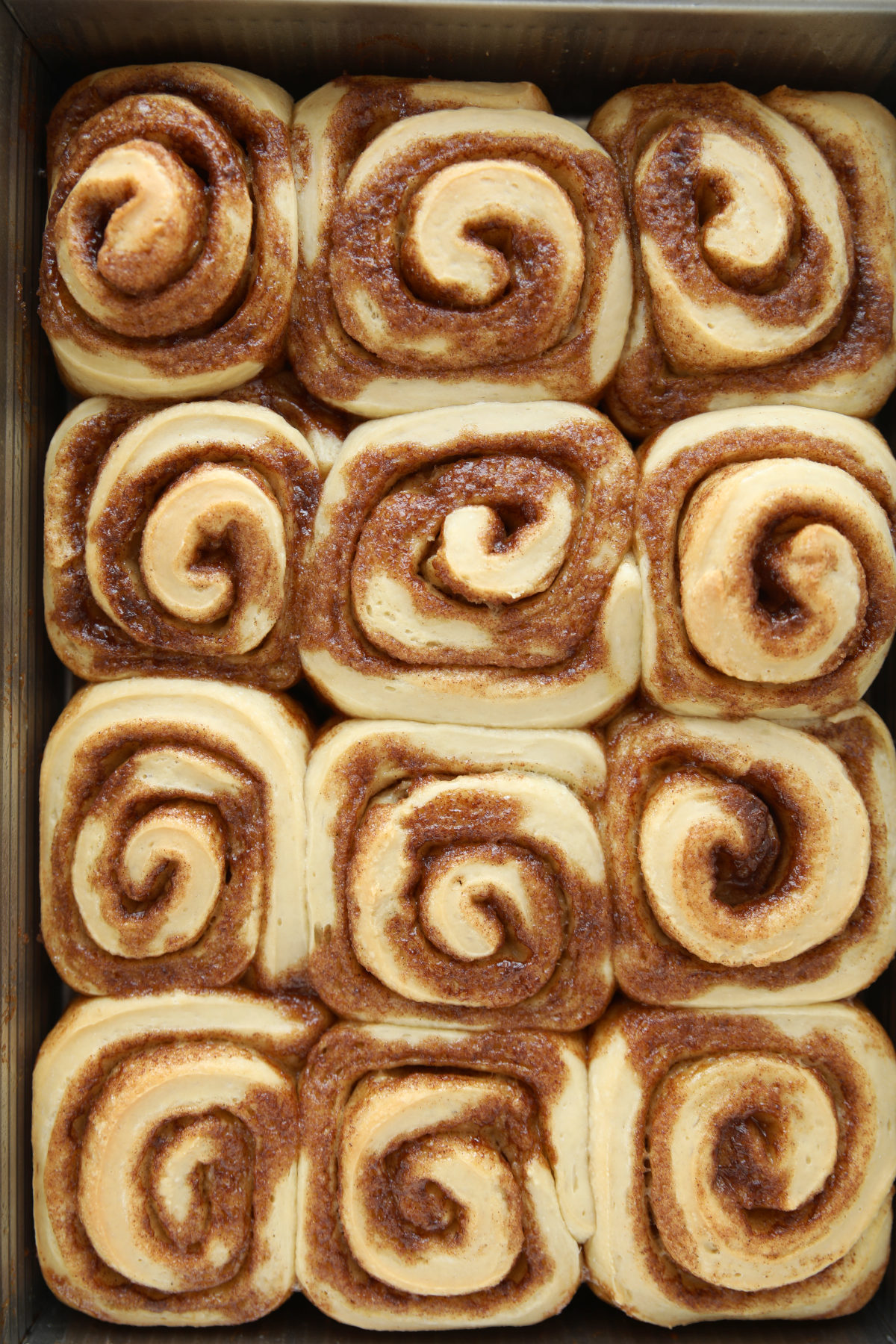Twelve freshly baked sourdough cinnamon rolls in a metal pan, golden and puffy with caramelized cinnamon sugar swirls, before glazing.