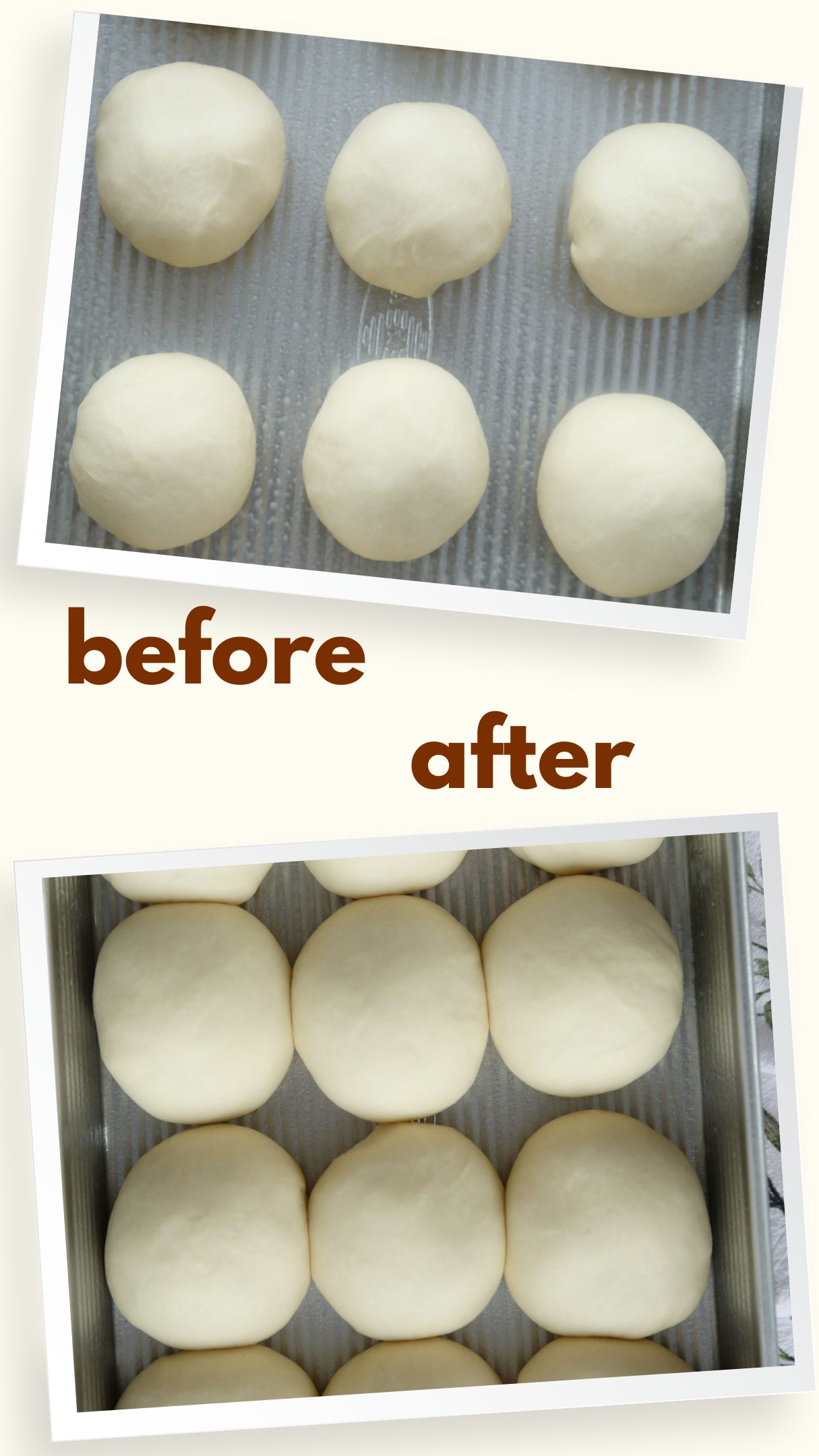 Two-image collage showing sourdough discard dinner roll dough before and after rising — small dough balls with space between them in the pan before, and puffy doubled rolls touching each other after the rise.