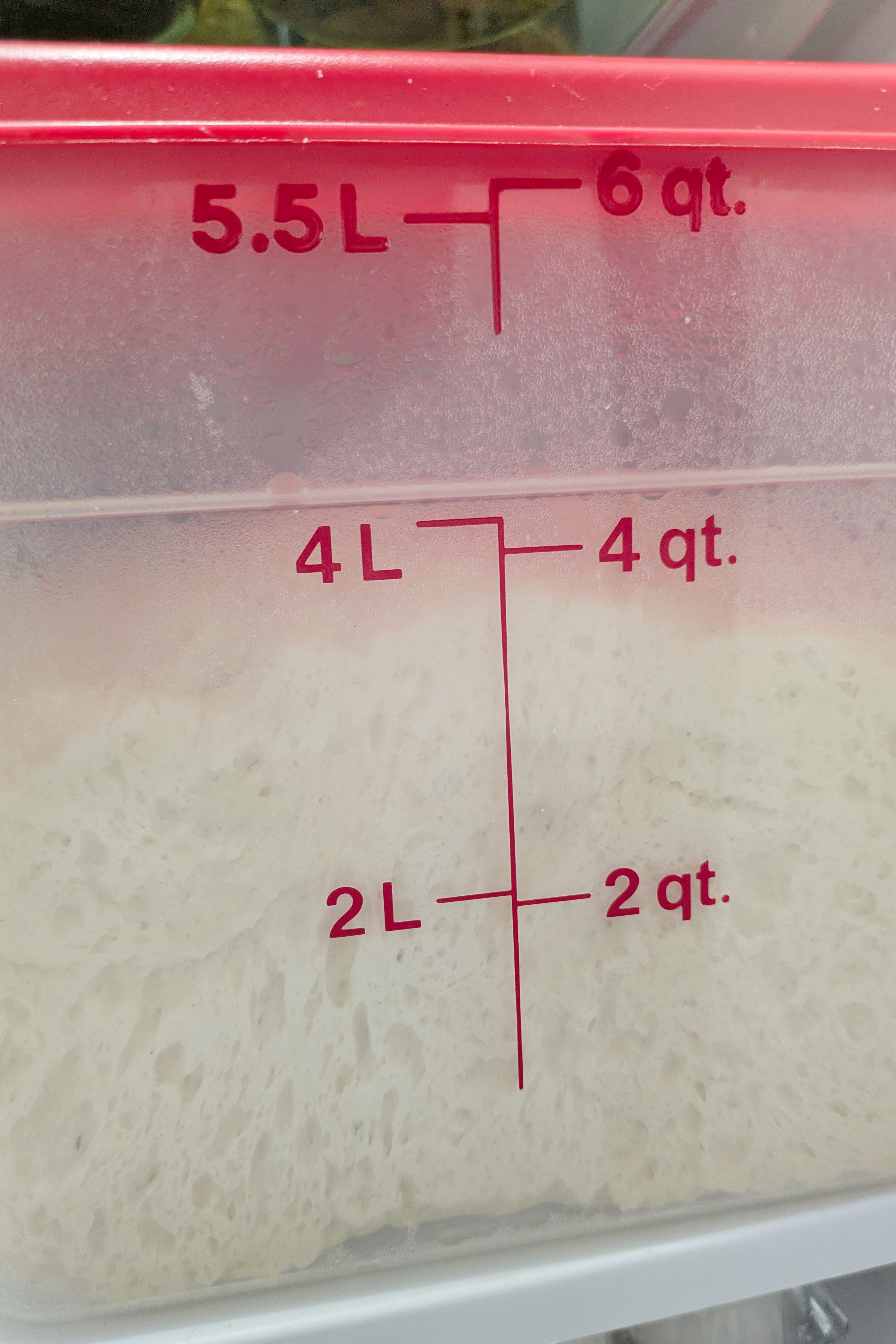 Sourdough hamburger bun dough bulk fermenting in a clear Cambro container, showing fermentation bubbles through the side with measurement markings in liters and quarts.