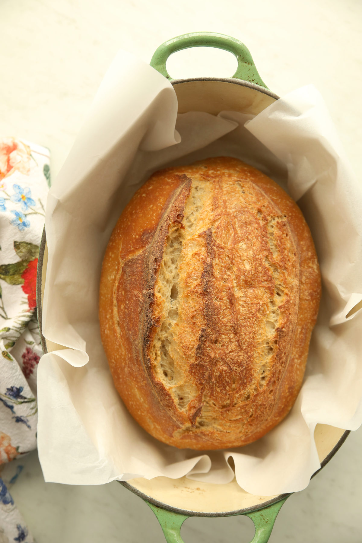 Whole wheat sourdough bread freshly baked in a green Dutch oven lined with parchment paper showing a deep golden scored crust